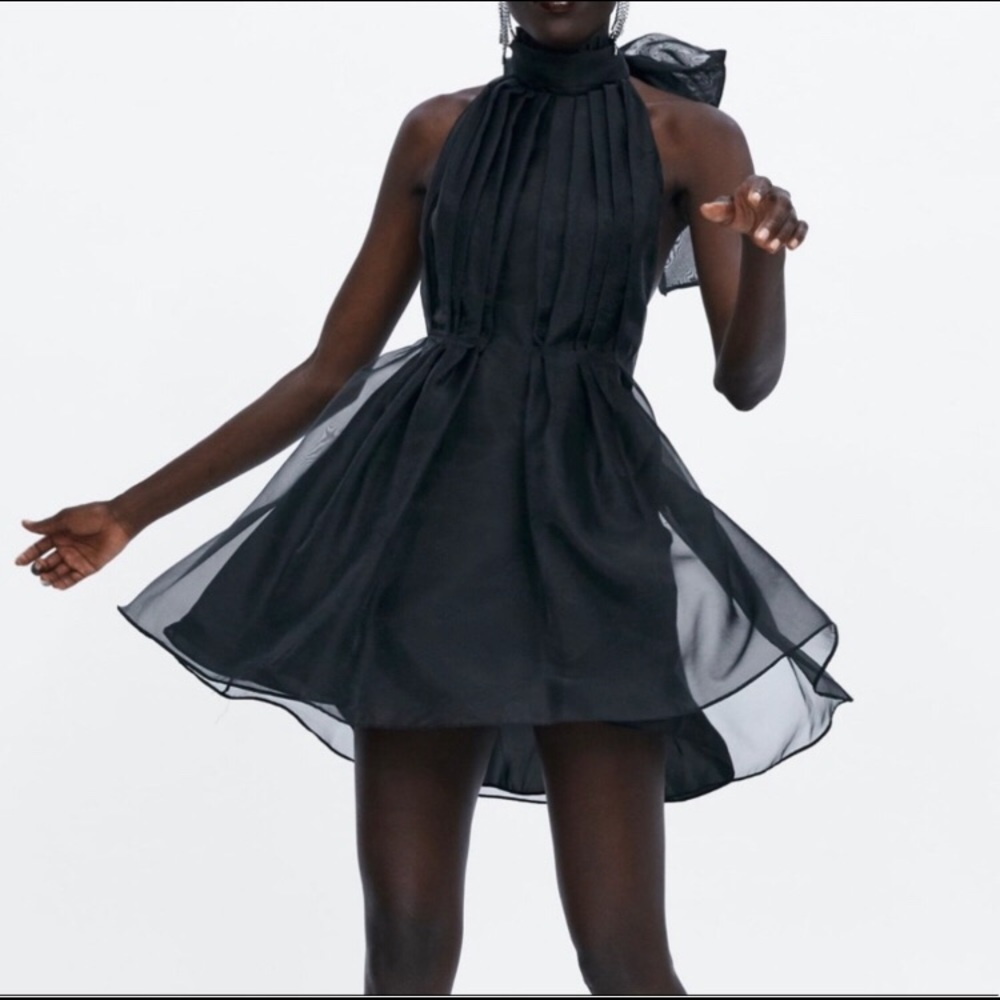 Zara Black Organza Dress - Picture 2 of 8